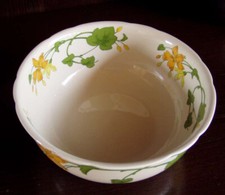 Geranium schüssel 2 gebraucht kaufen  Überherrn