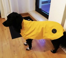 Hunter hunde regenmantel gebraucht kaufen  Bielefeld