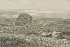 Brodie silo westjordanland gebraucht kaufen  Frankfurt am Main