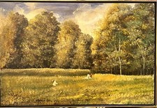 Montrec c.1960 large for sale  Forest Hills
