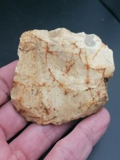 Middle paleolithic neanderthal d'occasion  Bonneville