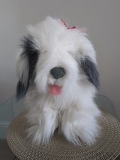 Duzoovi furytails sheep for sale  ROCHESTER