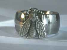 Netter kleine fliege gebraucht kaufen Netter kleine fliege gebraucht kaufen  Kirchheim unter Teck