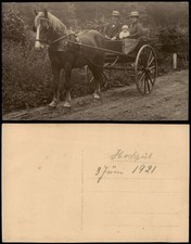 Foto familie pferde gebraucht kaufen  Ortrand