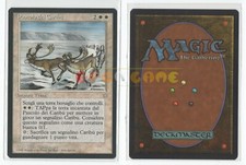 Mtg magic pascolo usato  Italia