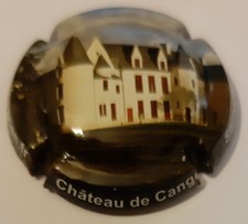 Capsule cancen chateau d'occasion  Sens