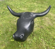 Corriente steer head for sale  Branchville