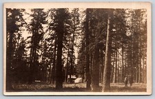 Cartão postal RPPC casal acampamento caça na floresta tenda caminhada comprar usado  Enviando para Brazil