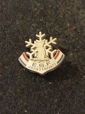 Pin insigne ski d'occasion  Paris XV