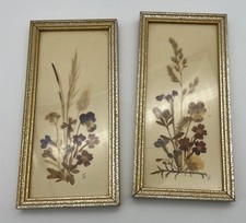 Vintage framed dried for sale  Olive Branch