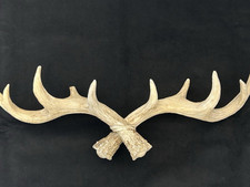 Vintage wandhaken hirschgeweih gebraucht kaufen  Tuttlingen