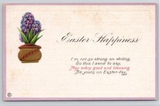 Easter happiness hyacinth for sale  Pompano Beach