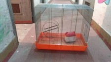 Gabbia roditori con usato  Palermo