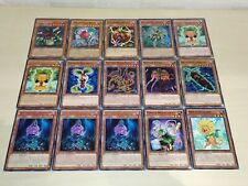 Base deck pianta usato  Latina
