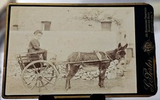 Victorian cabinet card for sale  BATH