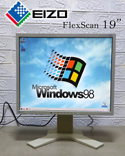 Monitor eizo flex usato  Italia