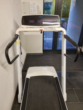 Laufband horizon mega gebraucht kaufen  Frankfurt am Main