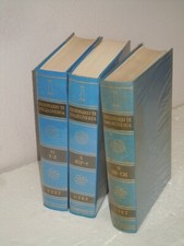 Dizionario ingegneria volume usato  Santa Maria Capua Vetere