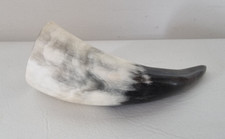 Trinkhorn füllhorn methorn gebraucht kaufen  Lehre