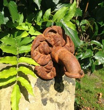 Wandbrunnen speier antiker gebraucht kaufen  Bad Bentheim