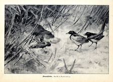 Wilhelm buddenberg strauchdieb gebraucht kaufen  Hamburg