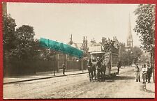 Clapton road horse for sale  WOOLER