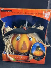 Halloween fiber optic for sale  Turner