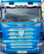 Grelha frontal cromada 8 peças tipo perfurado para Scania 2004-2009 R Series comprar usado  Enviando para Brazil