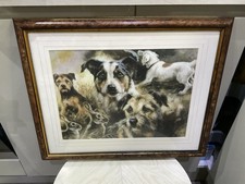 Print picture terriers for sale  BLACKBURN