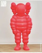 Kaws party brooklyn for sale  Brooklyn