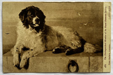 Distinguished member royal for sale Distinguished member royal for sale  LETCHWORTH GARDEN CITY