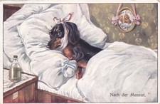 Cartão postal antigo humanizado Dachshund cachorro em cama de hospital 1911, usado comprar usado  Enviando para Brazil