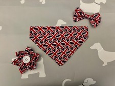 Union jack dog for sale  CHESTER LE STREET