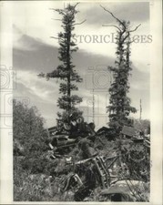 1977 press photo for sale  Memphis