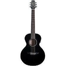 Takamine chitarra acustica usato  Gragnano