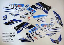 2006 yamaha yfm d'occasion  Expédié en Belgium