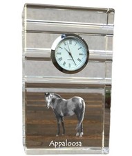 Appaloosa orologio tre usato  Spedire a Italy