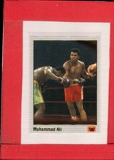 1991 sports muhammad for sale  Roaring Spring
