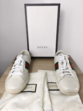 Gucci ace dog for sale  MUSSELBURGH