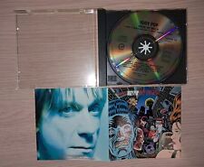 Iggy pop brick usato  Tavernole sul Mella