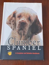 Rare clumber spaniel for sale  WARRINGTON