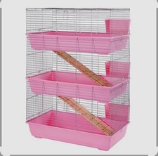 indoor rabbit for sale indoor rabbit for sale BATLEY