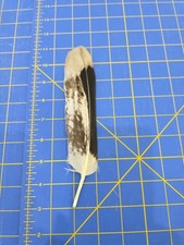 vulture feathers for sale  Cass City
