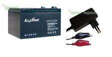 Caricabatteria batteria ricari usato  Ottaviano