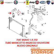 Fiat bravo 1.9 usato  Pogno
