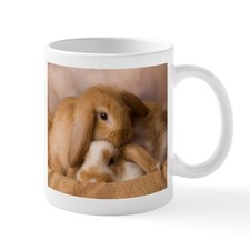 Cafepress cuddle bunnies for sale  Louisville