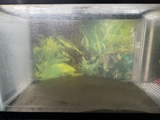 Gallon fish tank for sale  Scottsdale