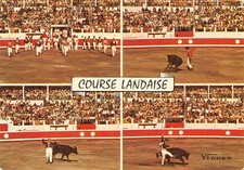 Landes course landaise d'occasion  France
