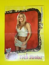 Mini pôster WWE Absolute Divas Fleer 2002 inserção de luta livre escolha seu próprio WWF, usado comprar usado  Enviando para Brazil
