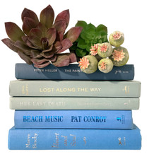 Staging decor books for sale  Maysville